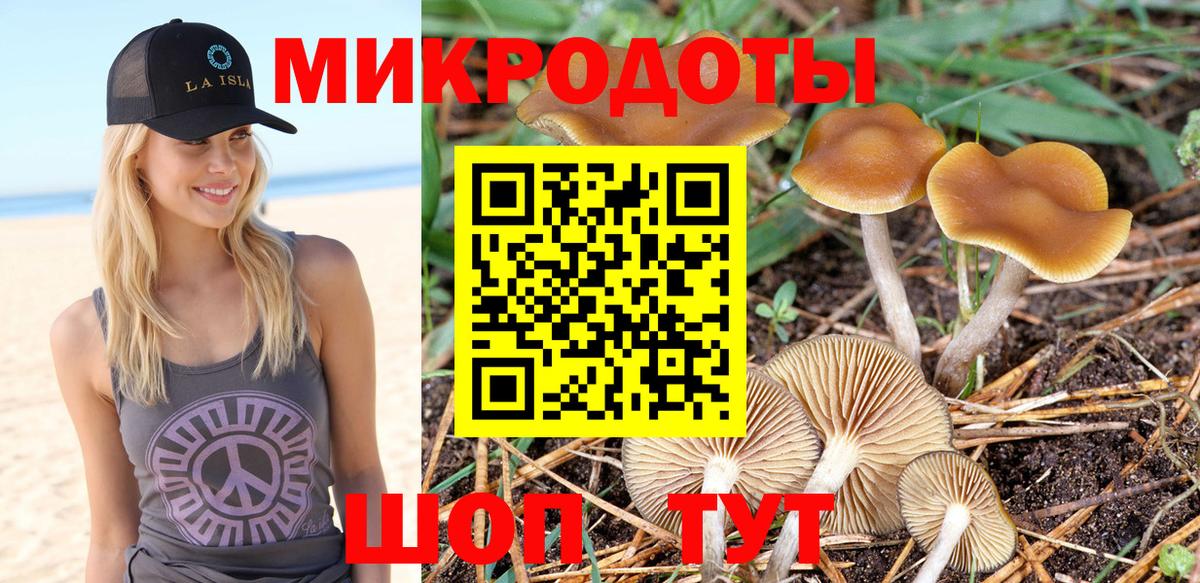 Кунгур  Галлюциногенные грибы Psilocybine cubensis  Вход с VPN 