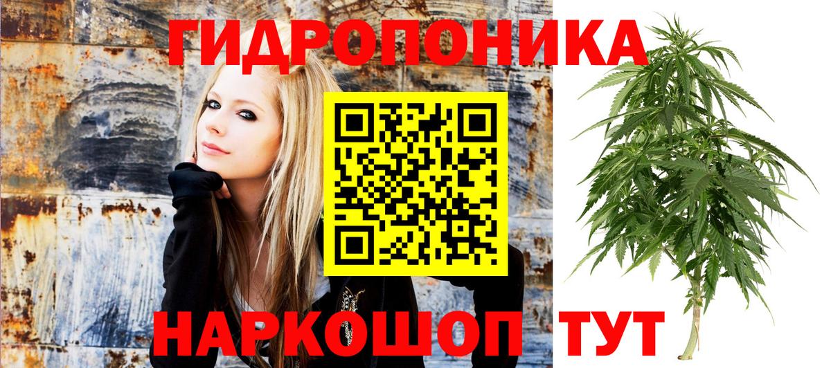 Бошки марихуана AK-47 Кунгур